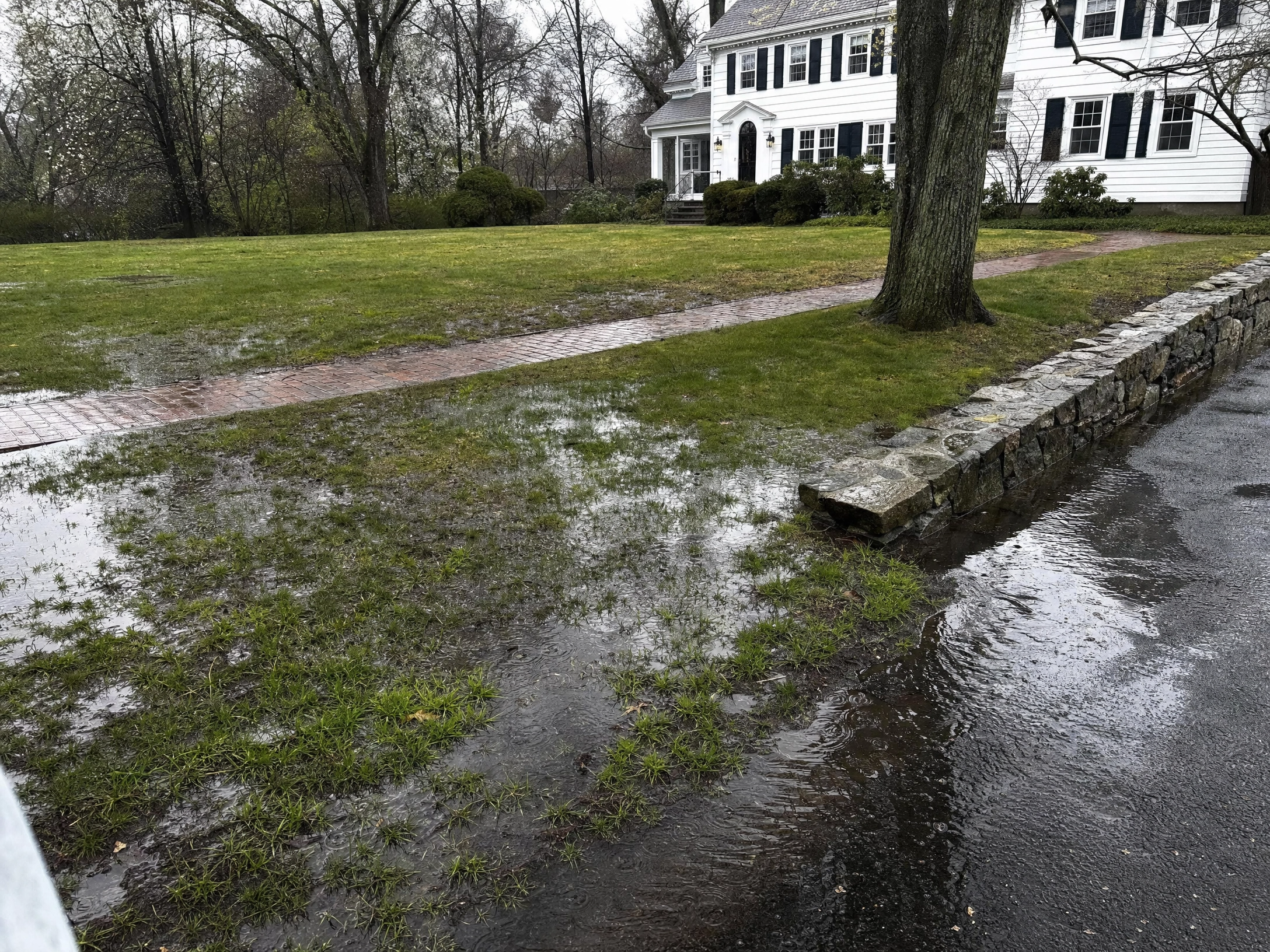 A property with a water problem before Sparkle Lake